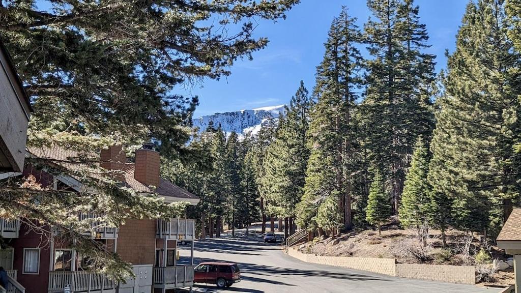 Cozy Condo Walking Distance To Village And Gondola W/ Pool/ Jacuzzi Sleeps 4. Mammoth Lakes Zewnętrze zdjęcie